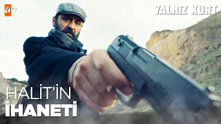 Yetim kurtların sonu - Yalnız Kurt