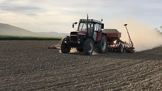 Szója vetés // Sejba sóje // Soybean seeding // Zetor 16145 Turbo + Pneusej MT6 //