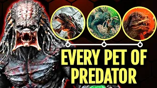 4 (Every) Deadly Pets Of Yautjas (Predators) Who Can Destroy An Entire Army Alone - Explored