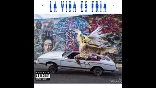 La vida es fría