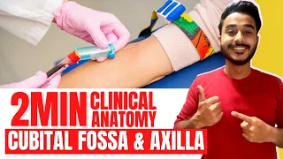 cubital fossa clinical anatomy | axilla clinical anatomy | axillary artery clinical anatomy