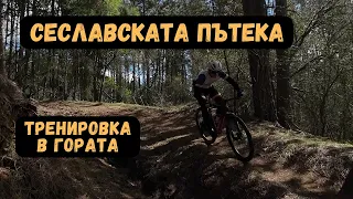 Тренировка на Сеславци 31km с 1200 D+