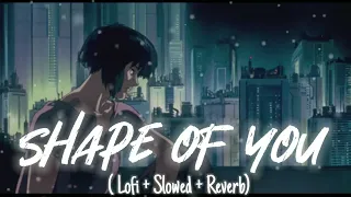 Ed Sheeran - Shape of You (Slowed + Reverb) | Female version  | shape of you slowed tiktok