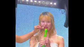 Twice Recorder Battle * didn’t expect Momo could do this*