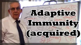 Adaptive Immunity (acquired)