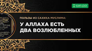 У Аллаха есть два возлюбленных. Пользы из Сахиха Муслима. Абу Яхья Крымский