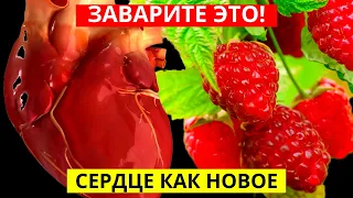 СЕРДЦЕ Как НОВОЕ, Даст Силу, Чистит СОСУДЫ, Давление В Норме! Просто Заварите Это...