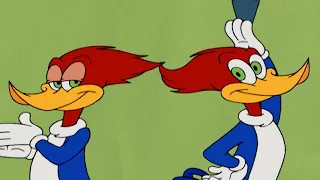 Woody has a clone? | Woody Woodpecker