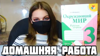 Проверяю рабочие тетради по окружающему миру -3 класс #1