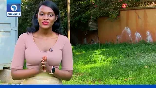 Eco Africa | 07/02/2021