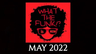 Funky House Mix 2022 ⭐ What The Funk is New ?! ⭐ Block & Crown 👑 Michael Gray 😎 Birdee 💃