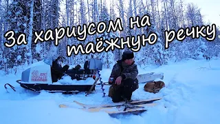 Еду в глухую тайгу на рыбалку за хариусом. Следы лося. Широкие лыжи. Собака тонет в снегу. 1/2 серия