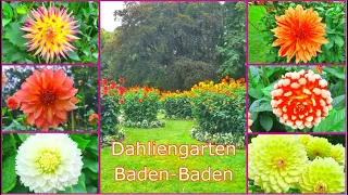 Baden-Baden, Dahliengarten 🌸🌸🌸, Lichtentaler Allee