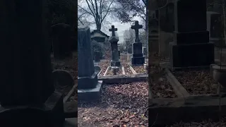 Creepy Cemetery #scary #haunted #paranormal #graveyard #ghost #cemetery #spirit #