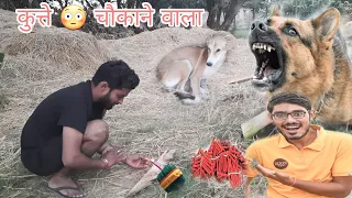 sutli bomb 💣  vs dogs 🐕 / जब कुत्ते के पास छोङा सुतली पटाखा तो कुत्ते का प्रतिक्रिया देखकर चौक 🙄 गए