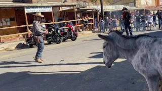 Oatman, Arizona | Living Ghost Town