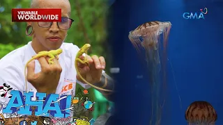 Bata, pumanaw matapos madikya | AHA!