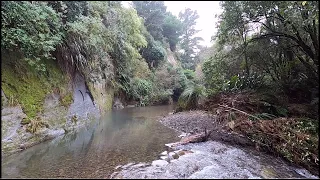 Fly Fishing Small Stream & Main River Post Flood: New Zealand April 2022.