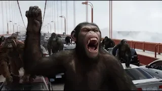 Bầy Khỉ Cuồng Nộ - Apes Vs Humans - Rise Of the Plannet of the Apes (2011) movie Hd
