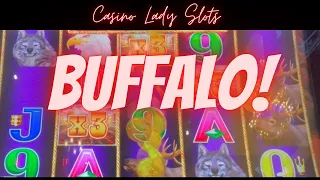 Buffalo Link Slot Machine! It's All About The Bonus!