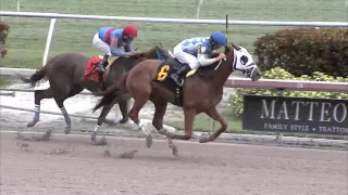 Gulfstream Park Replay Show | January 27, 2016