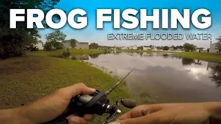 Topwater Frog Fishing in FLOODED Backyard Pond!