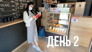 НАЧИНАЕМ НОВУЮ КНИГУ | неделя чтения | день 2