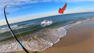 BIZARRE Catch Right By the BEACH! (Beach Fishing)