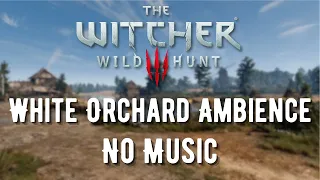 The Witcher 3 | Calm Day in White Orchard | Ambience (No Music)