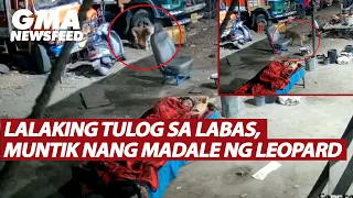 Lalaking tulog sa labas, muntik nang madale ng leopard | GMA News Feed