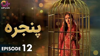 Pakistani Drama | Pinjra - Episode 12 | Aplus Gold | Yumna Zaidi, Nauman Aijaz | CZ1O