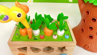 Best Toy Learning Video for Toddlers and Kids Learn Colors and Counting Feeding Baby Birds In Garden