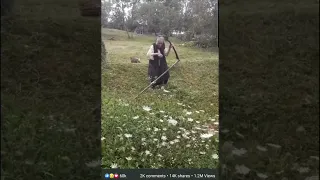 Lady using scythe !Dame mit Sense I Dame utilisant la faux I Senhora usando foice !鎌 ,коса,falce,