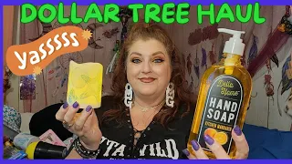 DOLLAR TREE HAUL | WOW!!! MORE NEW FINDS | May 17, 2024