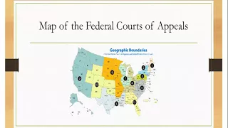 Webinar | The American Court System