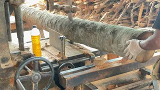 Turning Coconut Tree Trunks into Durable Construction Materials