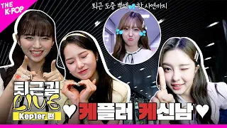 [퇴근길 LIVE 4K] ⚠케플러 케신남주의⚠ 텐션 Up!Up! 퇴근길 현장