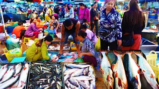 Largest fish distribution in Cambodia - Fish market scenes and People activities, Food Rural TV