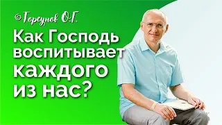 Как Господь воспитывает каждого из нас? Торсунов лекции. Смотрите без рекламы!