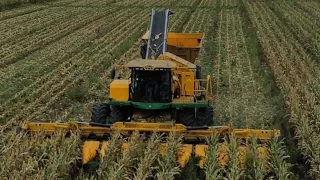 Central Illinois seed corn harvest in Rantoul Illinois