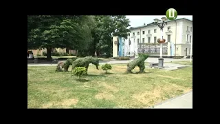 Хмельницькі «зелені скульптури» відремонтують