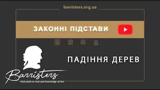 «Законні підстави з Денисом Пономаренко: “Падіння дерев”»