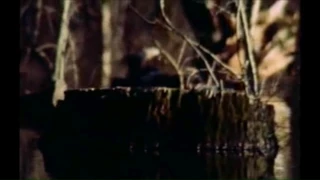 The Legend of Boggy Creek (1972) - Trailer