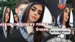 ТРЕК Шон Мс Ёри бепарво 2021