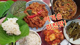 한쌈한쌈 리얼하게 보여드릴게요~정말 미친맛!우렁강된장쌈밥,돼지두루치기,백반 특집,집밥,혼밥,가족먹방,엄마의집밥!Korean Home Food Mukbang,Eating,Recipe