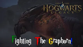 Hogwarts Legacy - Fighting The Graphorn!
