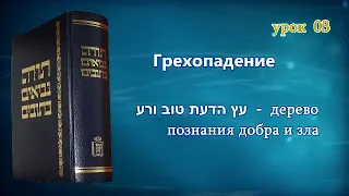 Танахический Иврит 03 - Часть 1. Доброе и злое начало. Дерево познания добра и зла.