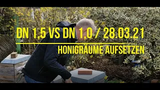 Angepasster Brutraum DN 1,5 vs DN 1,0 / 28.03.21 / Honigräume aufsetzen