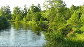 Classical music. Peter Tchaikovsky - Neapolitan Dance. П.Чайковский