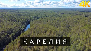 Карелия | Природа Карелии | Nature of Karelia | 4K